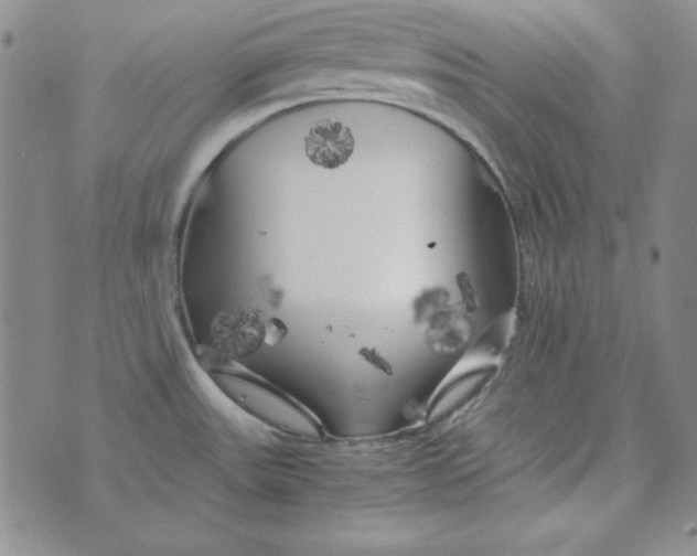 X0000075921531200610062155