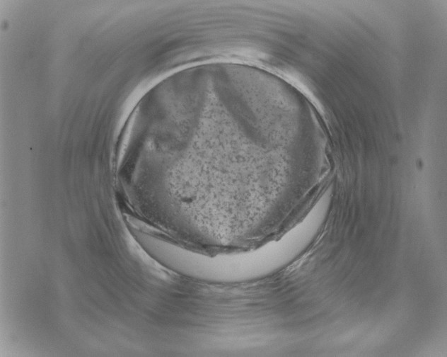 X0000075921532200610062155