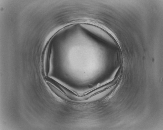 X0000075921533200610062155