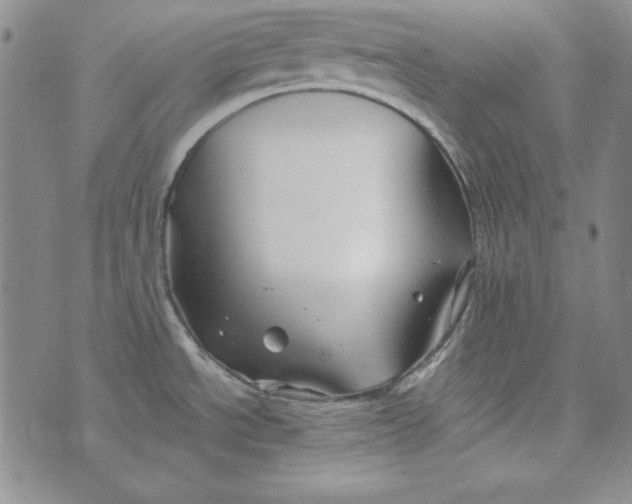 X0000075921534200610062155