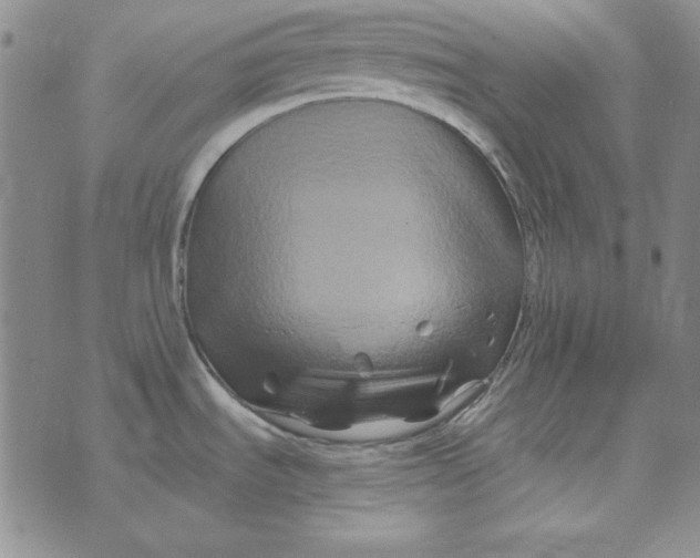 X0000075921535200610062155