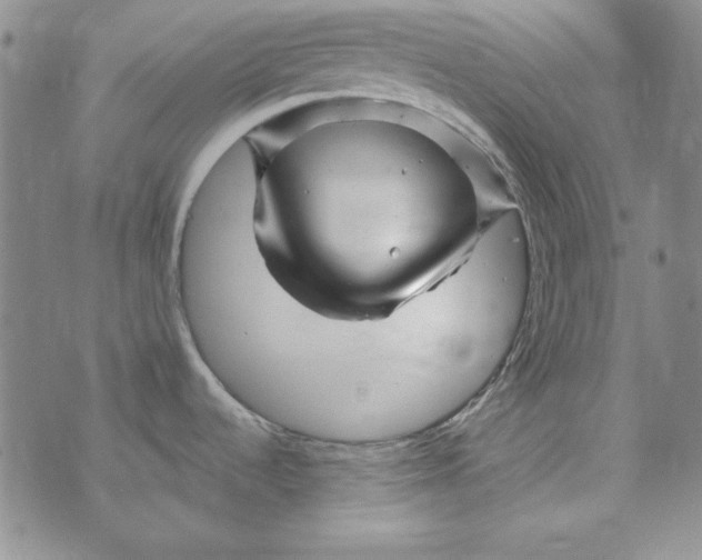 X0000075921536200610062155