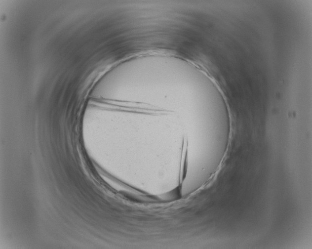 X0000075920001200610151918