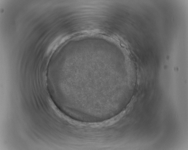 X0000075920002200610151918