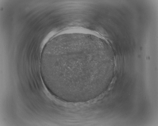 X0000075920003200610151918