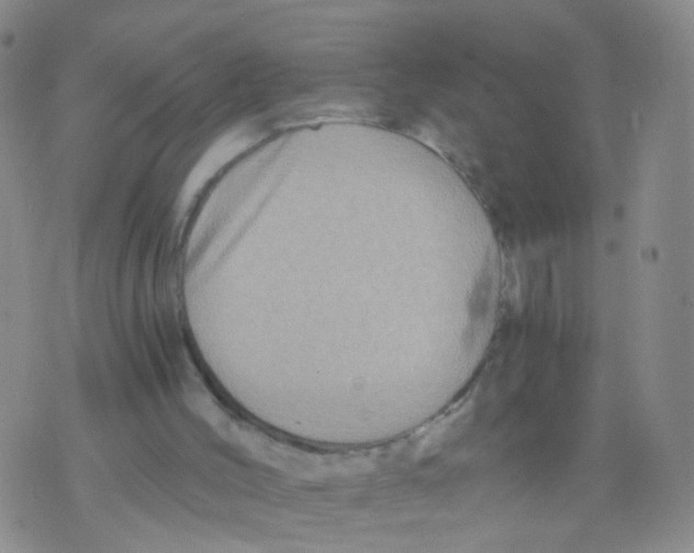 X0000075920004200610151918