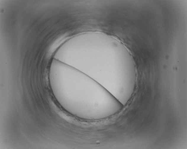 X0000075920005200610151918