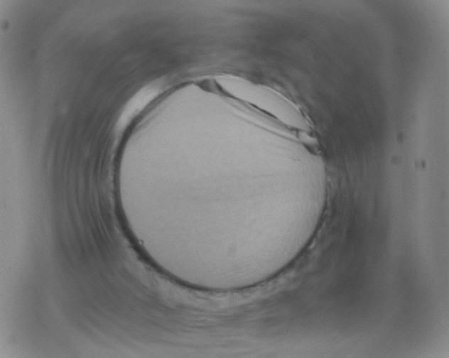 X0000075920006200610151918