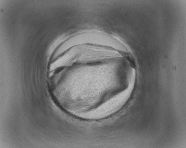 X0000075920007200610151918