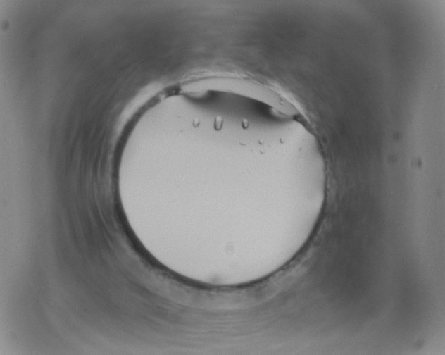 X0000075920008200610151918