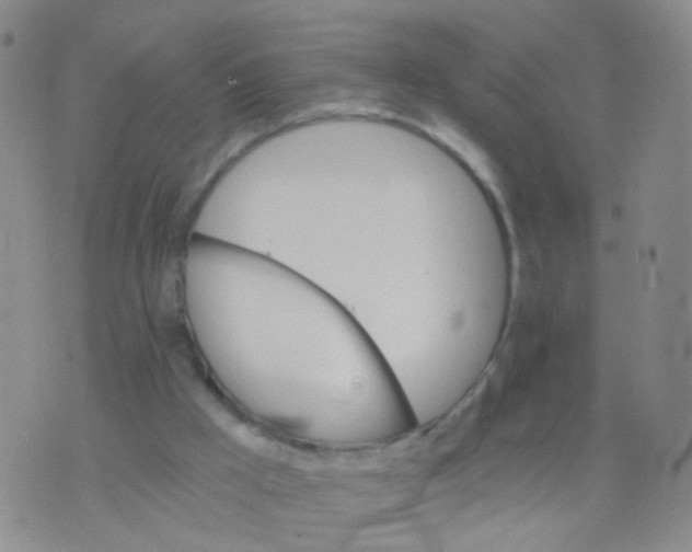 X0000075920009200610151918