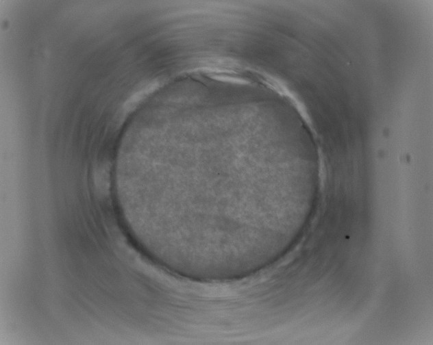 X0000075920010200610151918