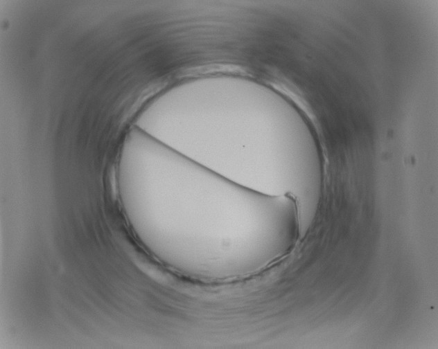 X0000075920013200610151918