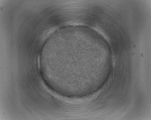 X0000075920014200610151918