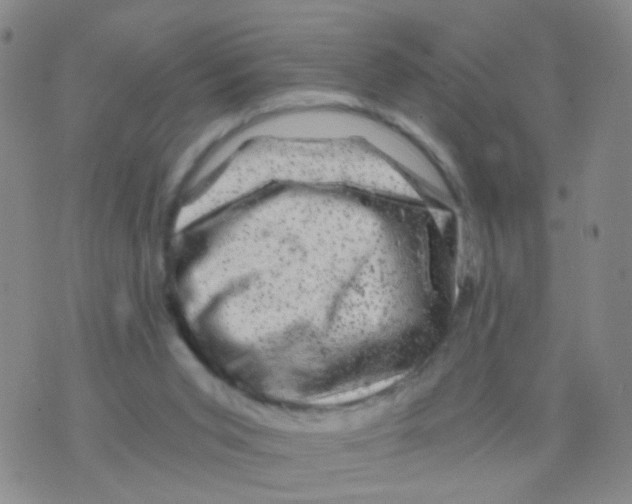 X0000075920015200610151918