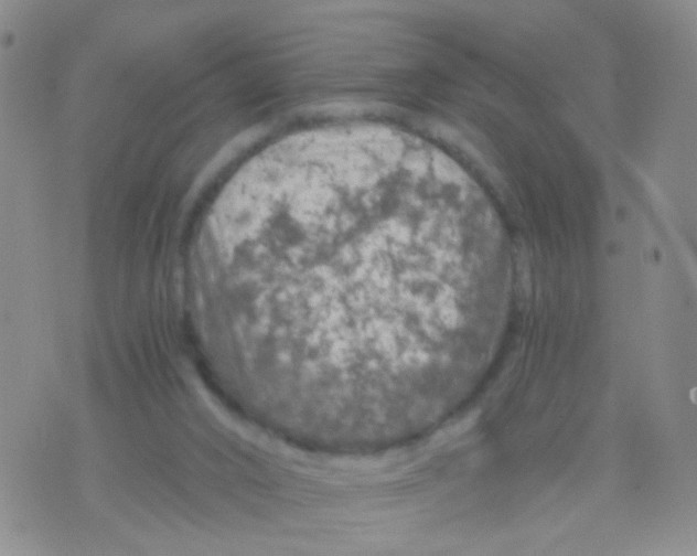 X0000075920016200610151918