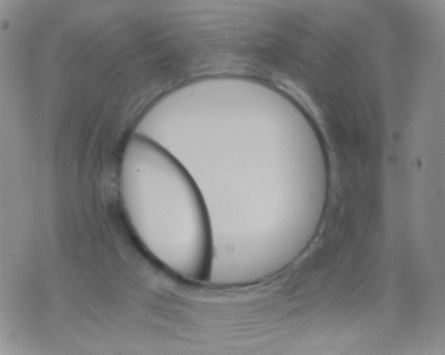 X0000075920017200610151918