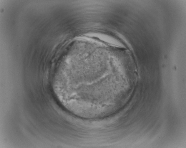 X0000075920018200610151918