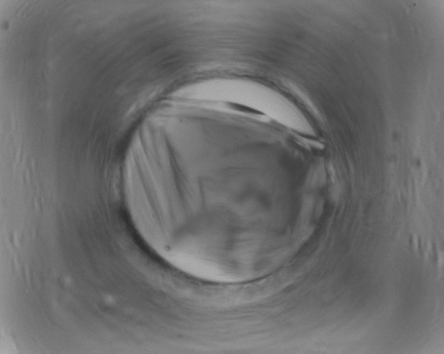 X0000075920023200610151918