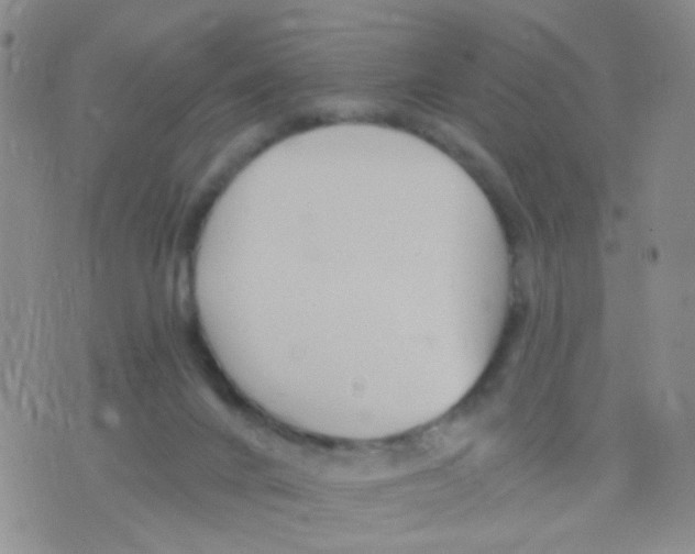 X0000075920024200610151918