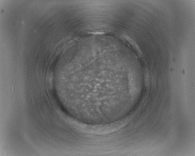 X0000075920026200610151918