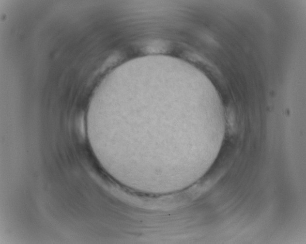 X0000075920028200610151918