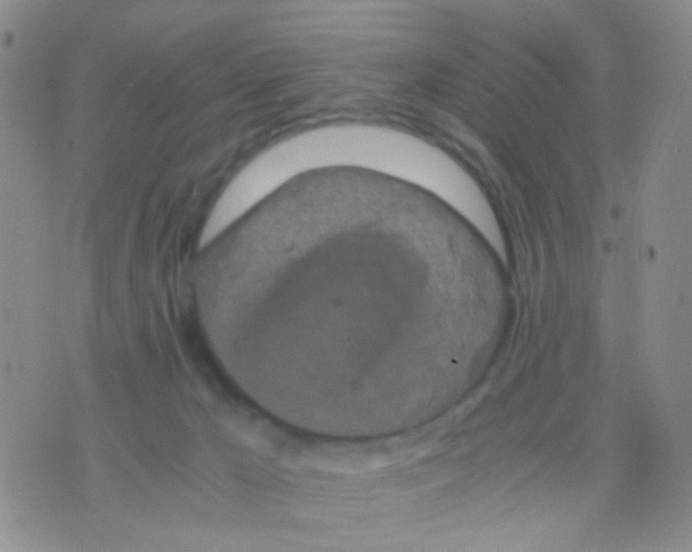 X0000075920029200610151918