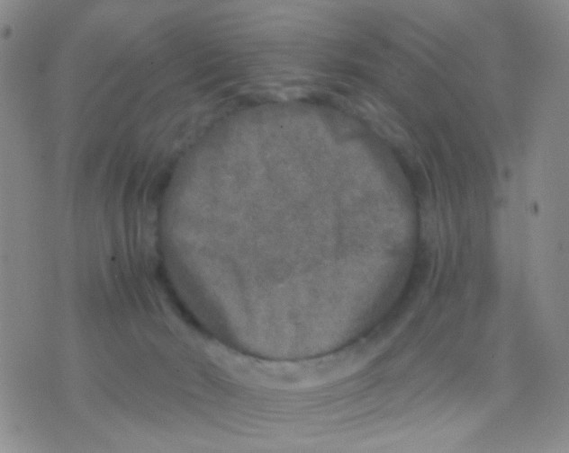 X0000075920030200610151917