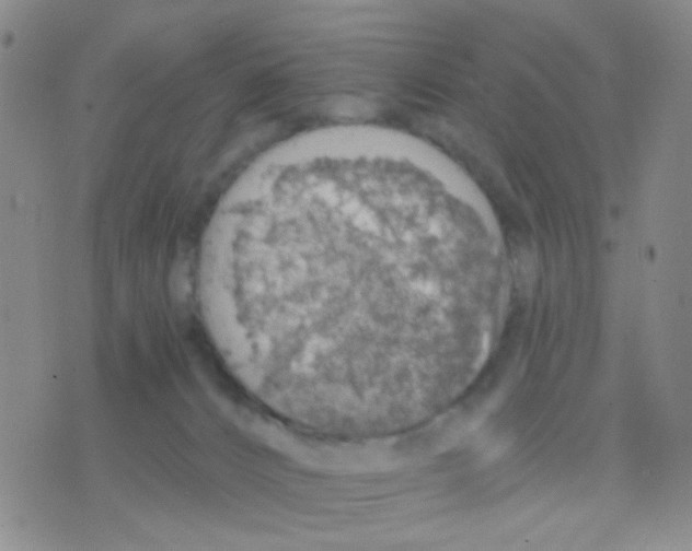 X0000075920032200610151917