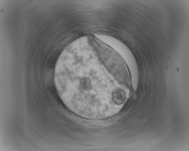 X0000075920034200610151917