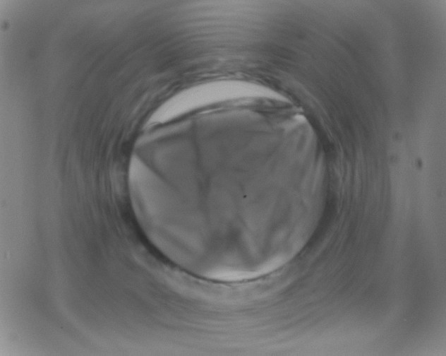 X0000075920035200610151917