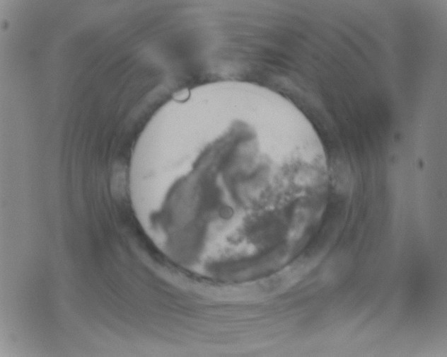 X0000075920036200610151917