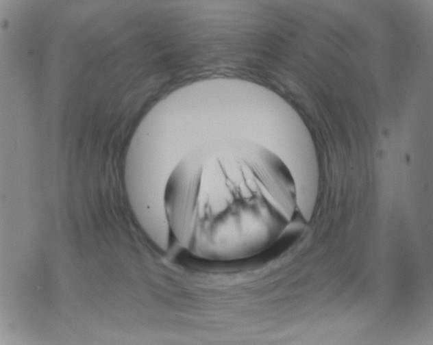 X0000075920037200610151917