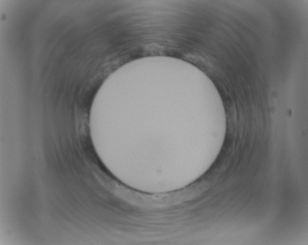 X0000075920038200610151917