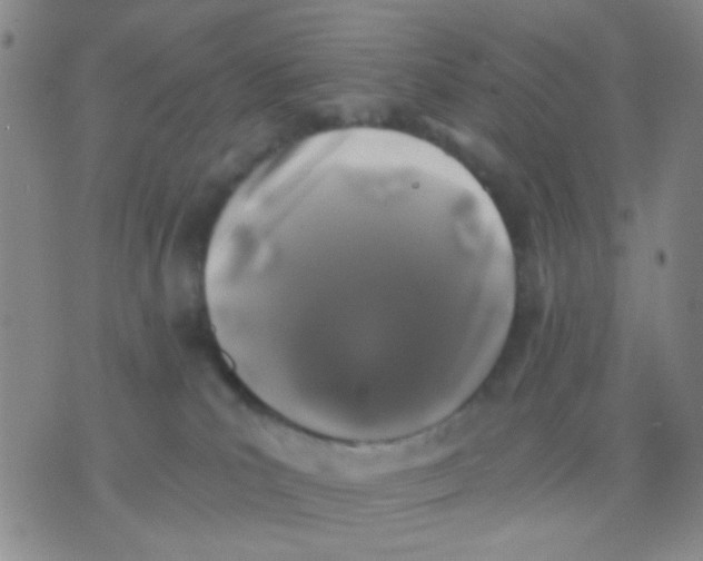 X0000075920039200610151917