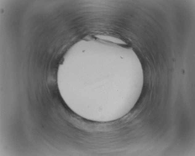 X0000075920040200610151917