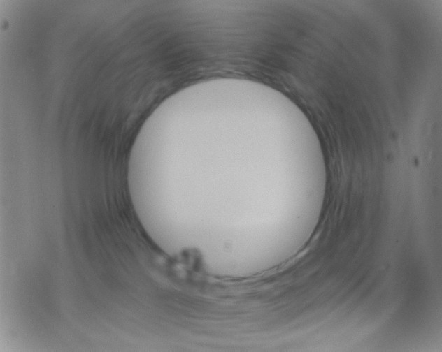 X0000075920041200610151917