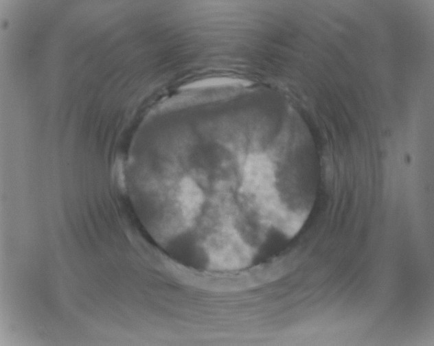 X0000075920042200610151917