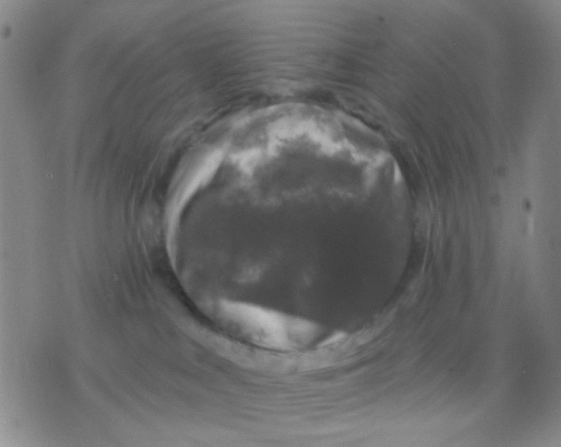 X0000075920043200610151917