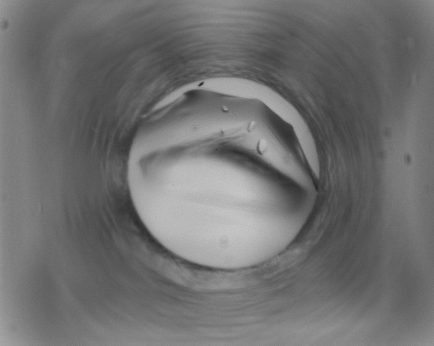 X0000075920044200610151917