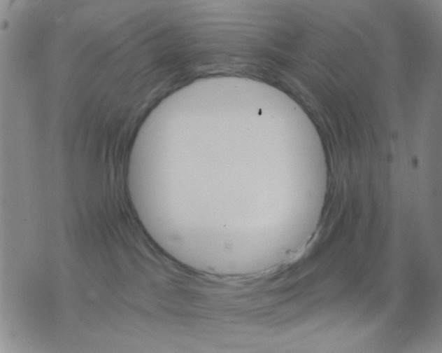 X0000075920045200610151917