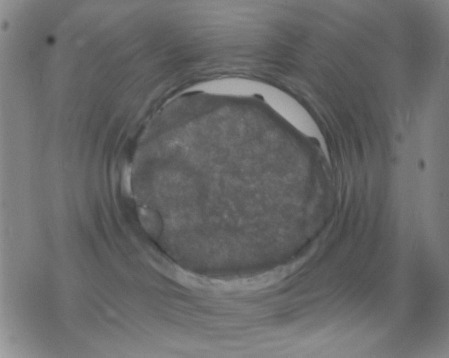 X0000075920046200610151917