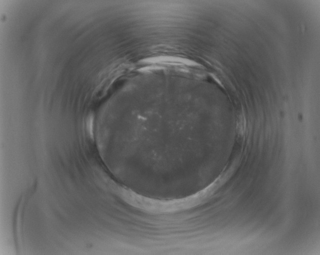 X0000075920047200610151917