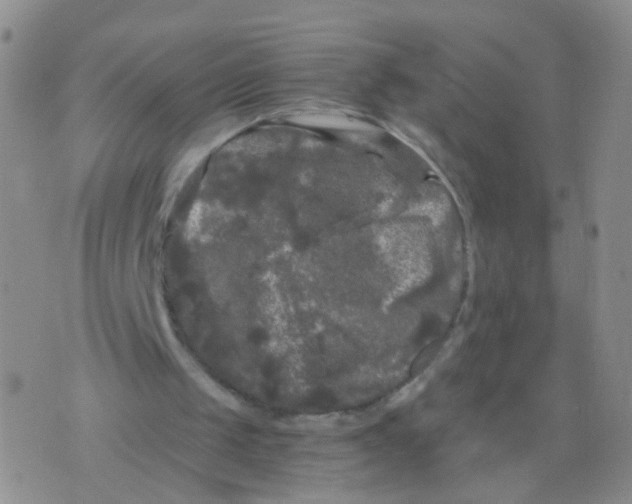 X0000075920049200610151916