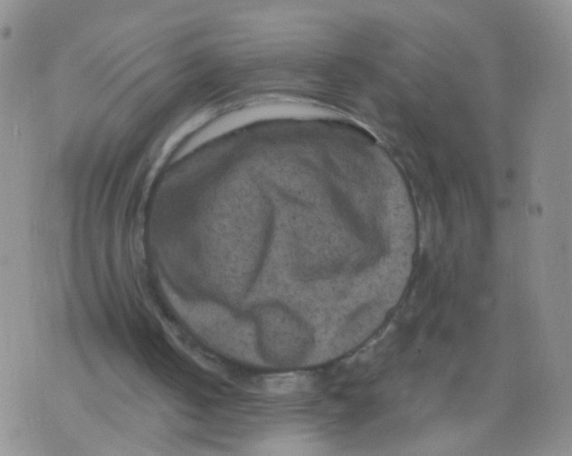 X0000075920050200610151916