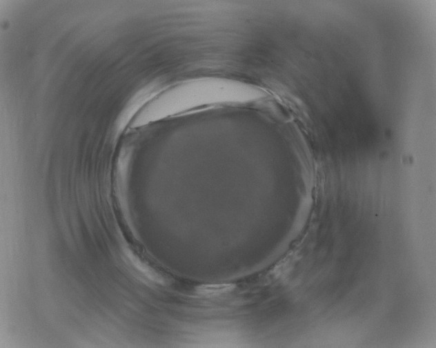 X0000075920051200610151916