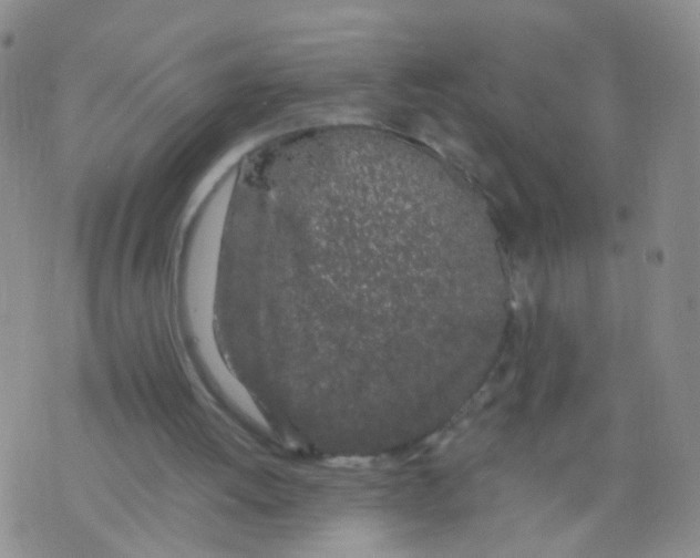 X0000075920052200610151916