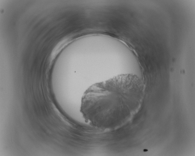 X0000075920053200610151916