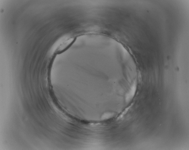 X0000075920054200610151917