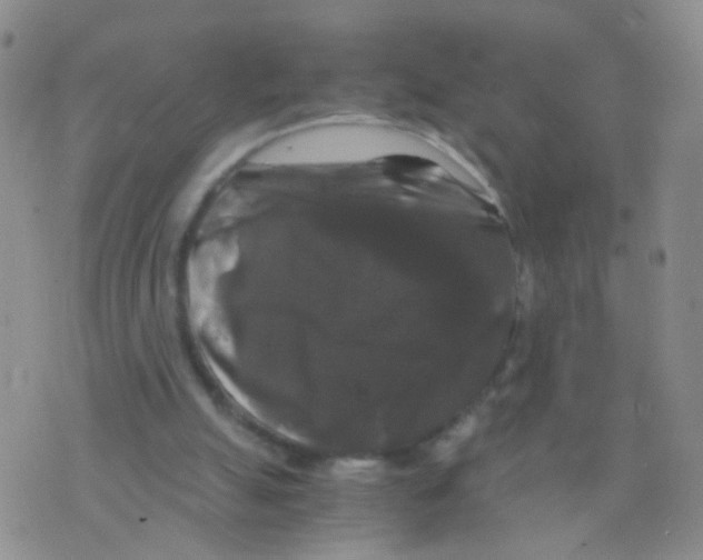 X0000075920055200610151917